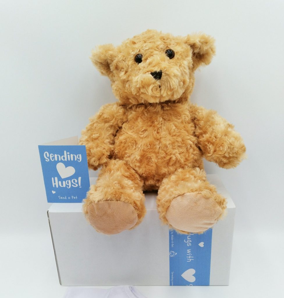 Teddy Bear Plushie Gift