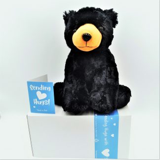 Teddy Bear Gift Plush