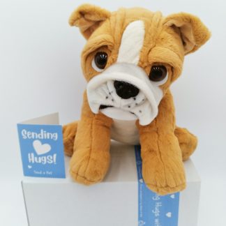 Stuffed Animal Gift Dog