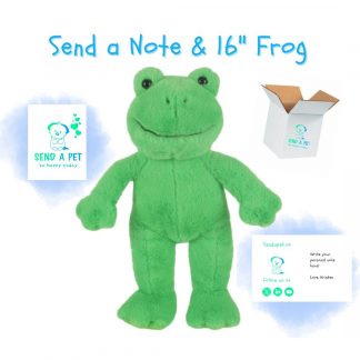 Frog Stuffed Plushie Gift