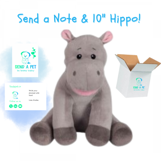 Happy Hippo Plushie Gift