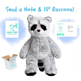 Raccoon Stuffed Animal Gift