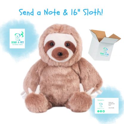 Sloth Super Plush Gift
